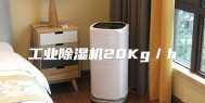 工业除湿机20Kg／h