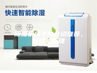 企业新闻除湿机牌子的介绍推荐，除湿机原理