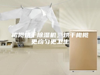 行业新闻橄榄烘干除湿机，烘干橄榄更均匀更卫生