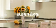 除湿有什么方法