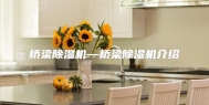 桥梁除湿机—桥梁除湿机介绍