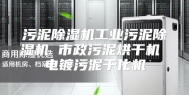 污泥除湿机工业污泥除湿机 市政污泥烘干机 电镀污泥干化机