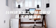 台州地下室工业除湿机安装,工业抽湿机