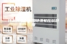 什么牌子的家用除湿机比较好用