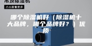 哪个除湿机好（除湿机十大品牌，哪个品牌好？）优质