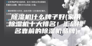 除湿机什么牌子好(家用除湿机十大排名！汇总排名靠前的除湿机品牌)