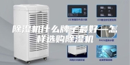 除湿机什么牌子最好—怎样选购除湿机