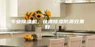 专业除湿机，快速除湿防潮效果好
