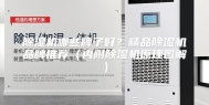 除湿机哪些牌子好？精品除湿机品牌推荐（内附除湿机原理图解）
