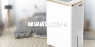 除湿机效果好吗