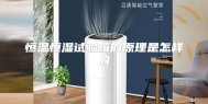 恒温恒湿试验箱的原理是怎样的