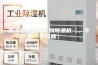 威海哪里可以买到除湿机【，专业品质】