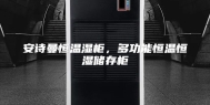 安诗曼恒温湿柜，多功能恒温恒湿储存柜