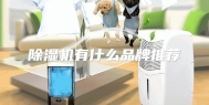 除湿机有什么品牌推荐