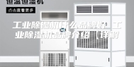 工业除湿机什么品牌好 工业除湿机品牌介绍【详解】