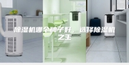 除湿机哪个牌子好，选择除湿机之王