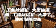 工业除湿机 大型抽湿机 工程除湿机 大型工业防潮抽湿机