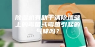 除湿机有助于清除墙壁上的霉菌或霉菌引起的气味吗？