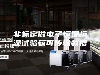 常见问题非标定做电子恒温恒湿试验箱可传输数据