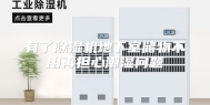 有了除湿机地下室储物不用再担心潮湿问题