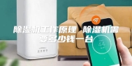 除湿机工作原理 除湿机需要多少钱一台