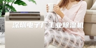深圳电子厂工业除湿机