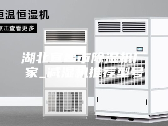 行业新闻湖北宜昌市除湿机厂家_减湿机推荐型号