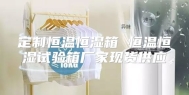定制恒温恒湿箱 恒温恒湿试验箱厂家现货供应