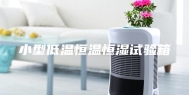 小型低温恒温恒湿试验箱