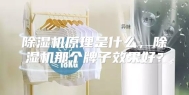 除湿机原理是什么，除湿机那个牌子效果好？