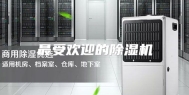 最受欢迎的除湿机