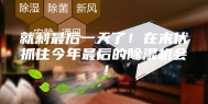 就剩最后一天了！在末伏抓住今年最后的除湿机会！