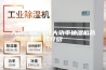 大功率抽湿机_大功率抽湿机品牌介绍