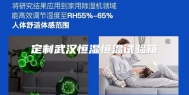 定制武汉恒湿恒温试验箱