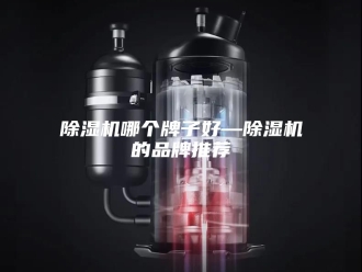 企业新闻除湿机哪个牌子好—除湿机的品牌推荐