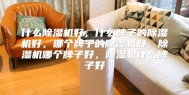什么除湿机好，什么牌子的除湿机好，哪个牌子的除湿机好，除湿机哪个牌子好，除湿机什么牌子好