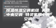 恒温恒湿空调机组 美意中央空调 特灵家用中央空调