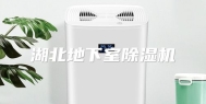 湖北地下室除湿机