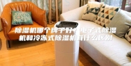 除湿机哪个牌子好？电子式除湿机和冷冻式除湿机有什么区别