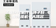 工业除湿机什么牌子好 专业除湿机十大排名
