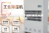 电子防潮箱在干燥防潮领域的优势