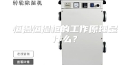 恒温恒湿柜的工作原理是什么？