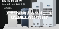 工业除湿机十大品牌_工业除湿机十大品牌介绍