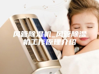 企业新闻风管除湿机_风管除湿机工作原理介绍