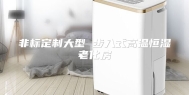 非标定制大型 步入式高温恒湿老化房