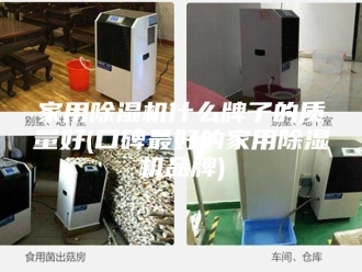 行业新闻家用除湿机什么牌子的质量好(口碑最好的家用除湿机品牌)