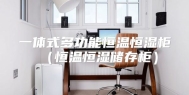 一体式多功能恒温恒湿柜（恒温恒湿储存柜）