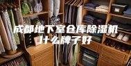 成都地下室仓库除湿机什么牌子好