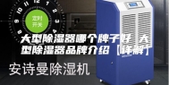 大型除湿器哪个牌子好 大型除湿器品牌介绍【详解】