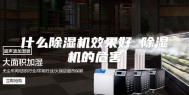 什么除湿机效果好 除湿机的危害